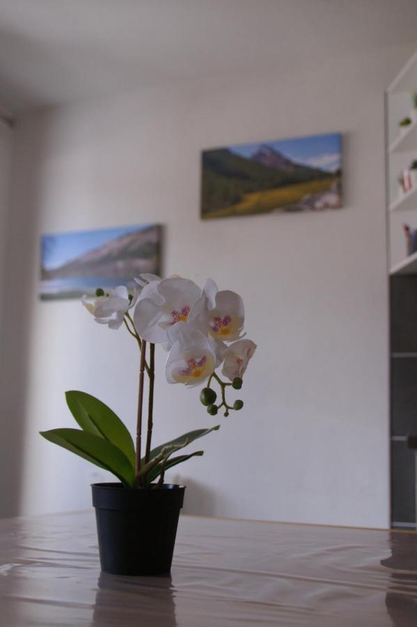 Le Guisanel Apartment Briançon Екстериор снимка